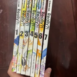 Full bộ relly 720654