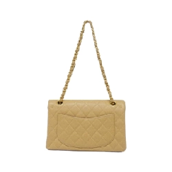 Túi đeo vai Chanel 1113 - Hàng hiệu Authentic 802095