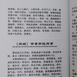 TỲ VỊ LUẬN  518412