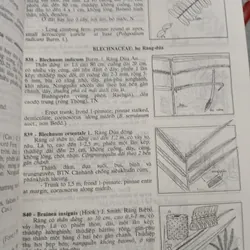 CÂY CỎ VIỆT NAM (QUYỂN I, II, III) - PHẠM HOÀNG HỘ 740112