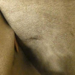 Túi xách Louis Vuitton Multicolor Alma PM M92646 615082