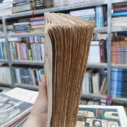 VIỆT NAM SỬ LƯỢC - TRẦN TRỌNG KIM  729390