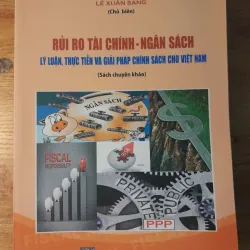 RỦI RO TÀI CHÍNH - NGÂN SÁCH 957817