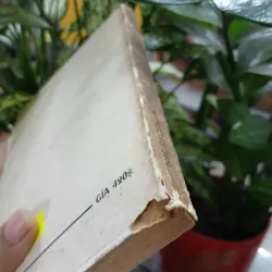 NGUYỄN QUANG DIỆU - NGUYỄN VĂN HẦU 733865