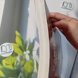 Bánh mứt xôi chè - Nguyễn Thị Phụng 1018805