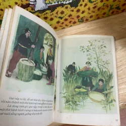 Bánh Chưng Bánh Dày 927961