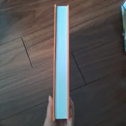 Thiên tinh đẩu sổ điển phạm 737143