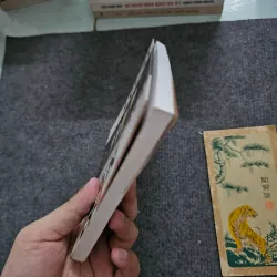 Tiểu thuyết đàn bà - lý lan 751601