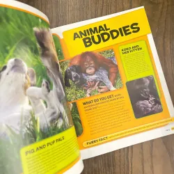 ✨𝑬𝒗𝒆𝒓𝒚𝒕𝒉𝒊𝒏𝒈 𝑷𝒆𝒕𝒔✨ 701627