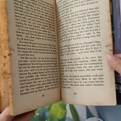 [XƯA] The Secret of Platform 13 (1994) - Eva Ibbotson 1033598