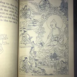 Trí huệ mê cuồng  714027