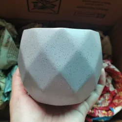 Chậu trồng sen đá