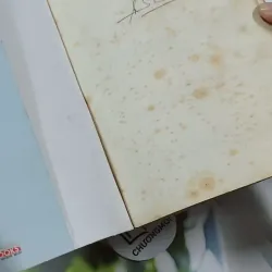 Ai Còn Chờ Ai Giữa Mùa Hoa Nở - Sói Xám Mọc Cánh 744737