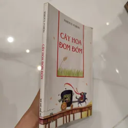 Cây hoa đom đóm  596841