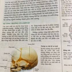 📘 TOÀN TẬP TRIỆU CHỨNG & ĐIỀU TRỊ BỆNH TRẺ EM – Dr. Bernard Valman 503110