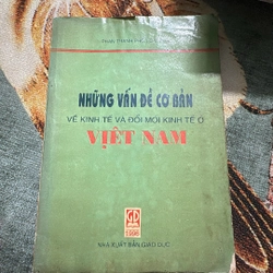 Những vấn đề cơ bản 