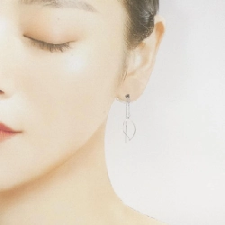 K10WG Bông tai - Hàng hiệu Chính hãng 862902