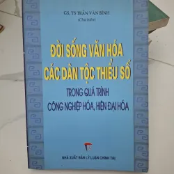 Đời sống văn hóa các dân tộc thiểu số trong quá trình CNH, HĐH
