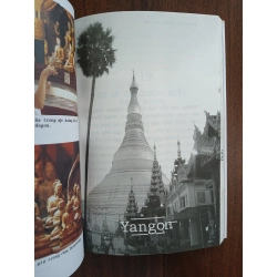 Bánh bèo phiêu lưu ký<br>Ploy (Nguyễn Ngọc Thạch) 539474