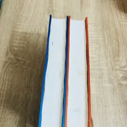 Combo KIM BÌNH MAI (2 TẬP – BÌA CỨNG) 929408