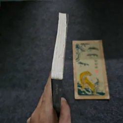 Đôi chim xanh 736633