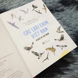Các loài chim Việt Nam (Lê Mạnh Hùng) 736179