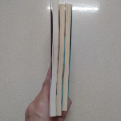 Combo 3 cuốn Bỉ vỏ - Tắt đèn - Những ngày thơ ấu  507654