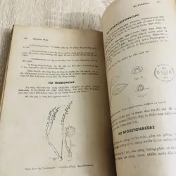 HIỂN HOA BÍ TỬ – Phạm Hoàng Hộ 957307