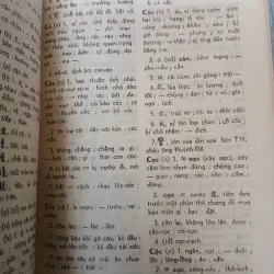 VIỆT NGỮ CHÁNH TẢ TỰ VỊ - LÊ NGỌC TRỤ 1046296