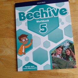 Sách học tiếng Anh cho bé - Beehive - Workbook 5