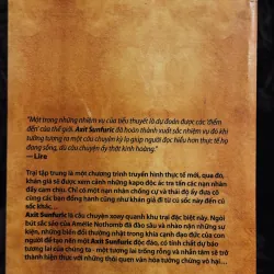 Axit Sunfuric 745621