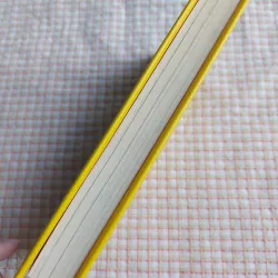 FING – DAVID WALLIAMS (Minh họa: Tony Ross) 782507