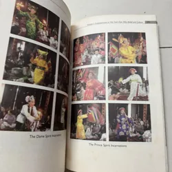 Đạo mẫu Việt Nam 699351