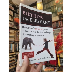 Birthing The Elephant : The woman's go-for-it! guide to overcoming the big challenges of launching a business - Karrin Abarbanel & Bruce Freeman