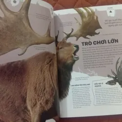 Băng - Những Câu Chuyện Ly Kỳ Từ Một Thế Giới Đang Dần Biến Mất 1009870