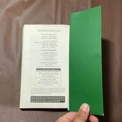 II Văn Học Nước Ngoài: Bắt Trẻ Đồng Xanh - J.D. Salinger - 2019 523194