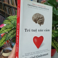 TRÍ TUỆ CẢM XÚC - DANIEL GOLEMAN