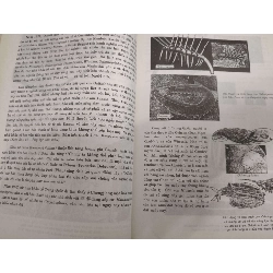 Tìm hiểu Trái Đất thời thiền sử - 2004 - 155 trang (Sách lịch sử - triết học) ANTQ1304 1012637