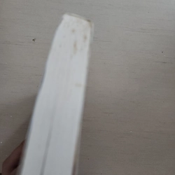 Sách Holy Bible tiếng Anh 542968