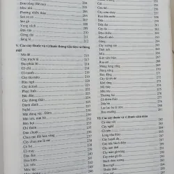 CÂY THUỐC VỊ THUỘC VIỆT NAM  931945