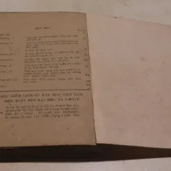 Đặc điểm lịch sử văn học Việt Nam 994256