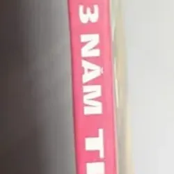 Hành Trình 3 Năm Thi Văn Việt 691011