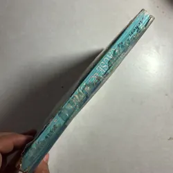 Cause and Effect - Patricia Ackert 563145