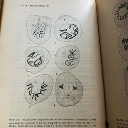 📚 SINH HỌC ĐỘNG VẬT  503988
