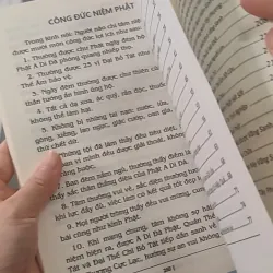 Những Chuyện Niệm Phật Mắt Thấy Tai Nghe - Lâm Khán Trị 928503