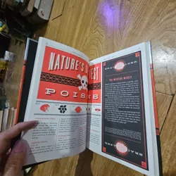 For Boy Only Giá 30k  602673