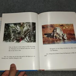 ÔXTRÂYLIA NGÀY NAY 701081