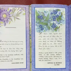 Friendship - Tình Bạn 1027458