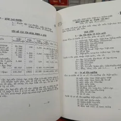 PHẬT GIÁO VIỆT NAM NGÀY NAY (1971) (BÌA CỨNG) - THÍCH THIỆN HOA 1005403