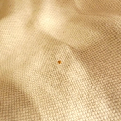 Túi đeo vai Gucci 269947 611222